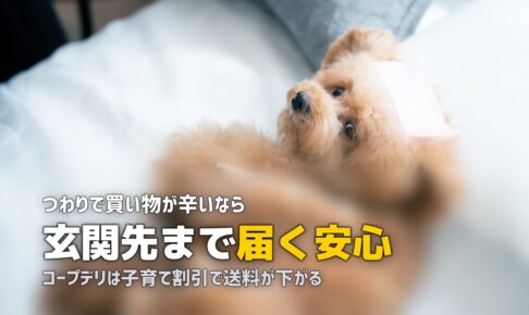 妊娠中・産後におすすめの食材宅配3選【買い物不要で安心】
