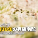 らでぃっしゅぼーや完全ガイド｜口コミ・料金・お試しまとめ