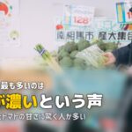 らでぃっしゅぼーやの口コミ・評判をリアル調査｜利用者の本音を徹底分析
