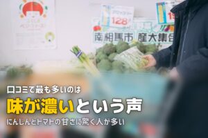 らでぃっしゅぼーやの口コミ・評判をリアル調査｜利用者の本音を徹底分析