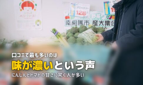 らでぃっしゅぼーやの口コミ・評判をリアル調査｜利用者の本音を徹底分析