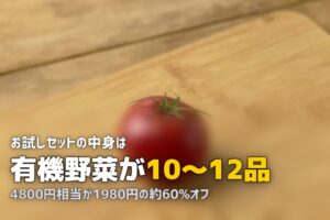 らでぃっしゅぼーやお試しセットの内容と感想｜1,980円で届いた中身を公開
