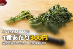 ヨシケイお試し5daysの内容と感想｜料金・コース・勧誘の実態を解説