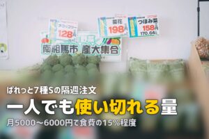 らでぃっしゅぼーやは一人暮らしでも使える？コスパと活用法を検証