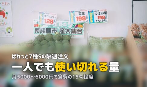 らでぃっしゅぼーやは一人暮らしでも使える？コスパと活用法を検証