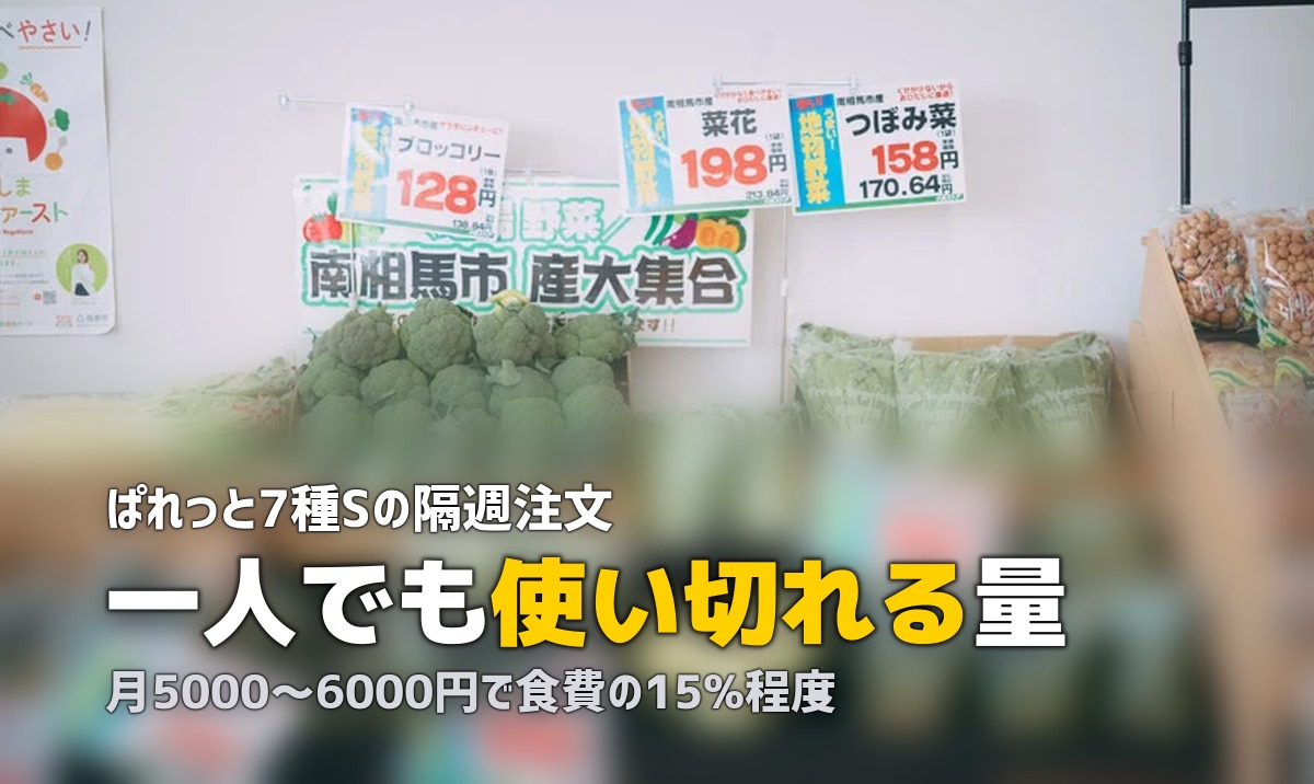 らでぃっしゅぼーやは一人暮らしでも使える？コスパと活用法を検証