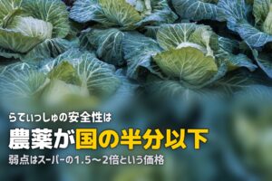 らでぃっしゅぼーやのメリット・デメリット｜利用前に知っておくべき全情報