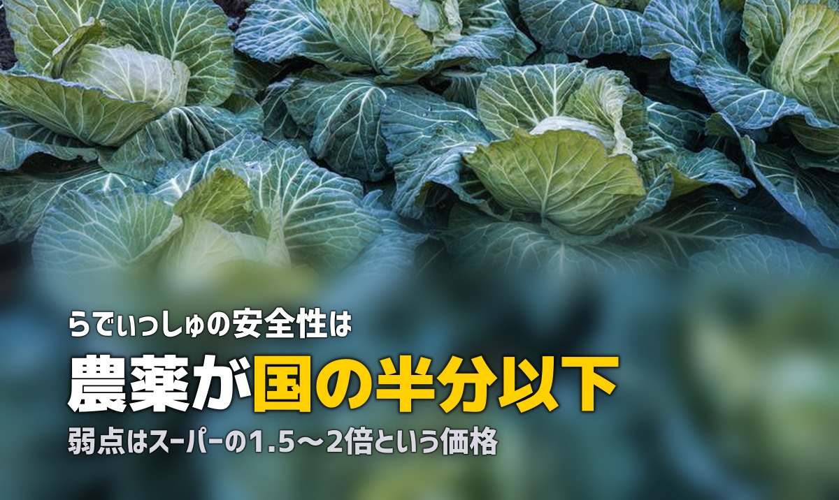らでぃっしゅぼーやのメリット・デメリット｜利用前に知っておくべき全情報