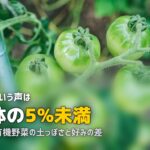 らでぃっしゅぼーやはまずい？野菜の味に関する口コミを徹底検証