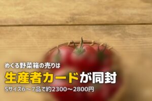 らでぃっしゅぼーやの「めぐる野菜箱」中身と口コミ｜ぱれっととの違い
