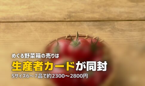 らでぃっしゅぼーやの「めぐる野菜箱」中身と口コミ｜ぱれっととの違い