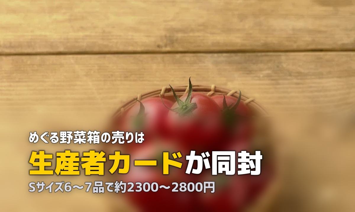 らでぃっしゅぼーやの「めぐる野菜箱」中身と口コミ｜ぱれっととの違い