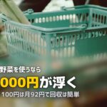 らでぃっしゅぼーやの年会費1,100円は元が取れる?お得に使う方法を検証