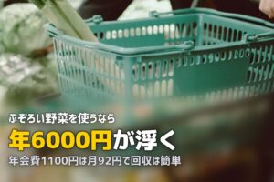 らでぃっしゅぼーやの年会費1,100円は元が取れる？お得に使う方法を検証