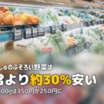 らでぃっしゅぼーやのふぞろい野菜とは?規格外野菜の内容とお得度を解説