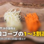 コープ自然派の口コミ・評判をリアル調査｜一般コープとの違いも解説
