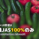 ビオマルシェ完全ガイド｜口コミ・料金・お試しセットを徹底解説【2026年版】