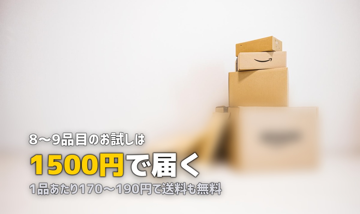 ビオマルシェお試しセットの内容と感想|1,500円で届いた有機野菜をレビュー