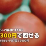 ビオマルシェは一人暮らしでも使える？コスパと活用法を検証
