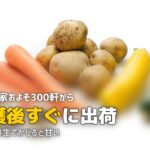 ビオマルシェの野菜は美味しい？品質と味のリアルな口コミを紹介