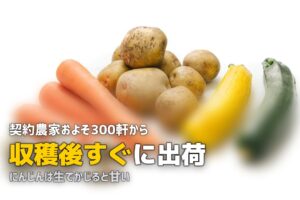 ビオマルシェの野菜は美味しい？品質と味のリアルな口コミを紹介