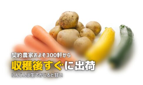 ビオマルシェの野菜は美味しい？品質と味のリアルな口コミを紹介