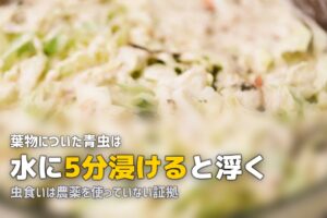 ビオマルシェの野菜に虫や泥が！有機あるあると正しい洗い方を解説