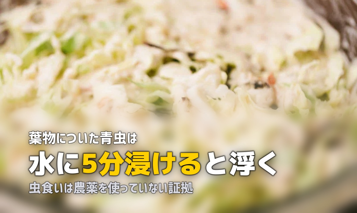 ビオマルシェの野菜に虫や泥が！有機あるあると正しい洗い方を解説