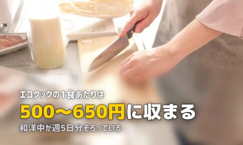 ショクブンの料金とメニュー内容を詳しく解説｜1食いくらで何が届く？