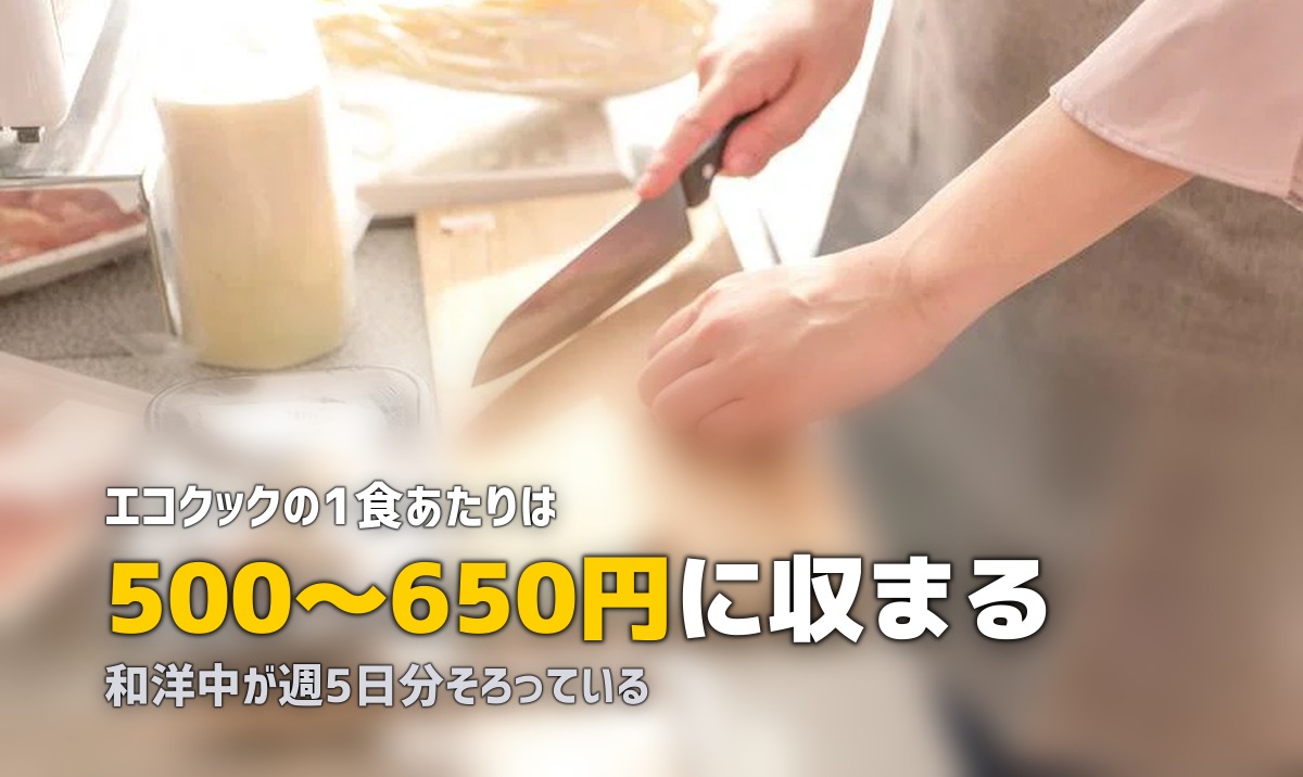 ショクブンの料金とメニュー内容を詳しく解説｜1食いくらで何が届く？