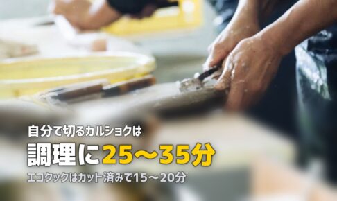 ショクブンのエコクック vs カルショク｜コースの違いと選び方を比較