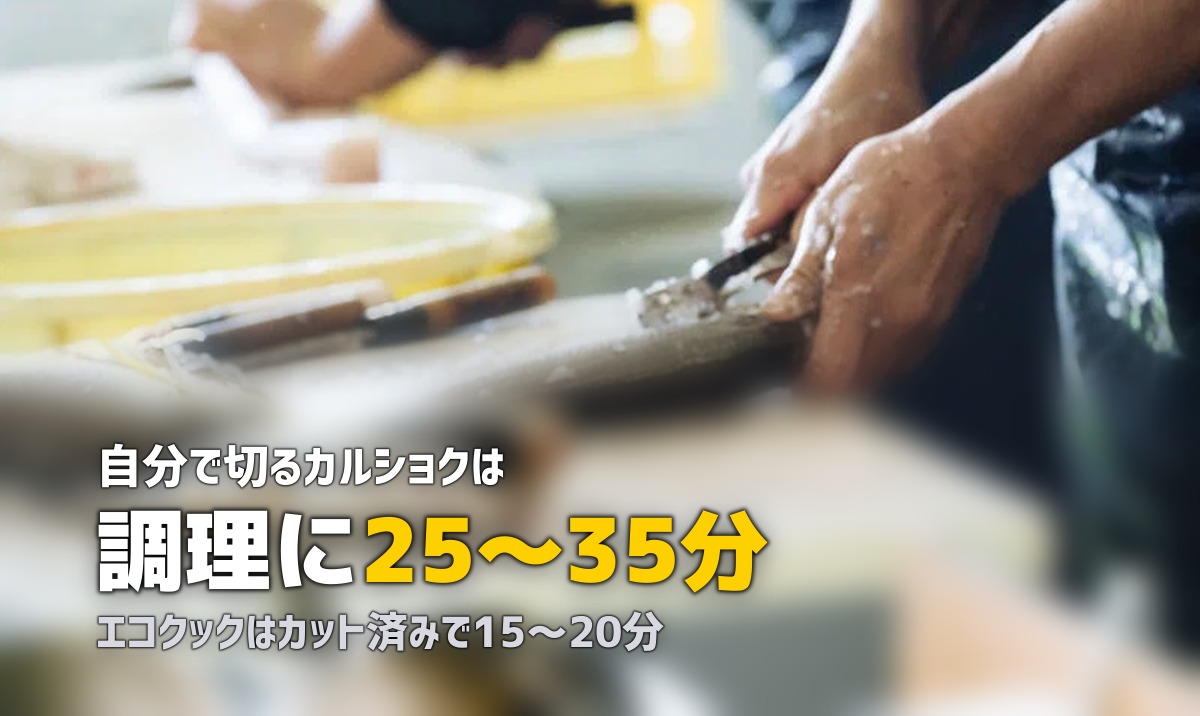 ショクブンのエコクック vs カルショク|コースの違いと選び方を比較