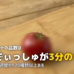 オイシックスとらでぃっしゅぼーやの違いを比較｜選び方ガイド