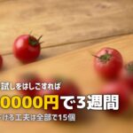 ミールキット・食材宅配の活用術まとめ|お得な使い方15選