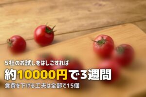 ミールキット・食材宅配の活用術まとめ｜お得な使い方15選