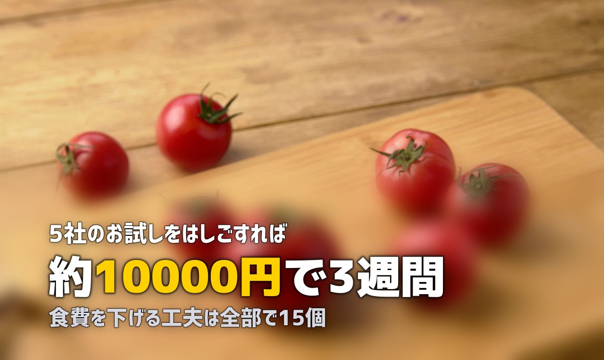 ミールキット・食材宅配の活用術まとめ|お得な使い方15選