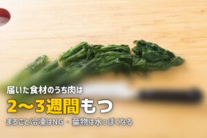 ミールキットは冷凍保存できる？やり方と注意点を解説
