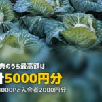 食材宅配の友達紹介キャンペーンを比較｜最もお得なのは？