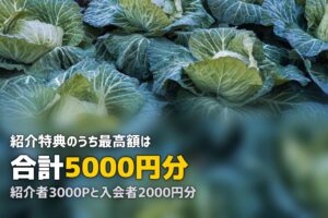 食材宅配の友達紹介キャンペーンを比較｜最もお得なのは？