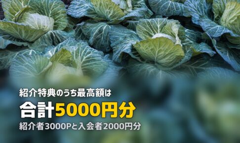 食材宅配の友達紹介キャンペーンを比較｜最もお得なのは？