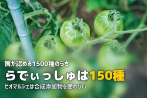 食材宅配の添加物は大丈夫？安全性を各社で比較