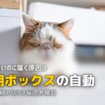 食材宅配が勝手に届く？自動注文の止め方を各社解説