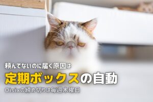 食材宅配が勝手に届く？自動注文の止め方を各社解説