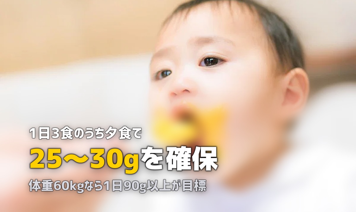 筋トレ・ボディメイクに最適!高タンパクミールキットおすすめと活用法