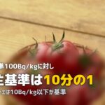 食材宅配の放射能検査基準を比較!国より厳しい自主基準のサービスはどこ?