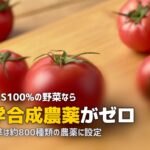 食材宅配の残留農薬基準を比較!最も厳しいのはどこ?安心の選び方