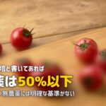 特別栽培と減農薬の違いをわかりやすく解説!食材宅配の表示の見方