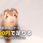 記念日・誕生日の食事にミールキットを活用!特別な日のおすすめメニュー