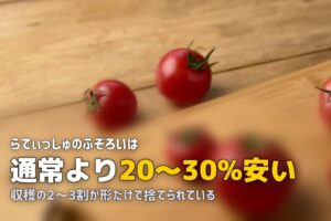 規格外・ふぞろい野菜がお得！訳あり食材を安く買える食材宅配サービス