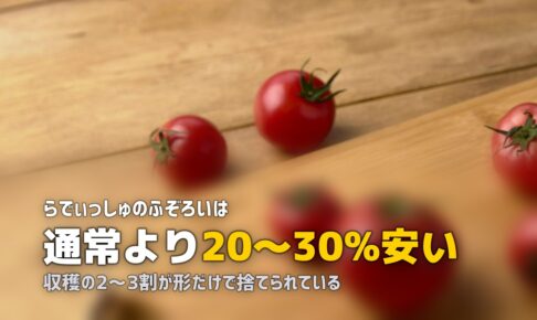 規格外・ふぞろい野菜がお得！訳あり食材を安く買える食材宅配サービス